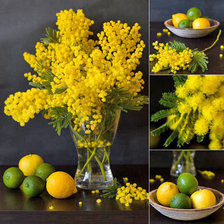 Схема вышивки «натюрморт»