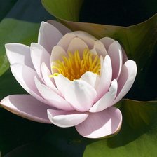 Схема вышивки «№87577»