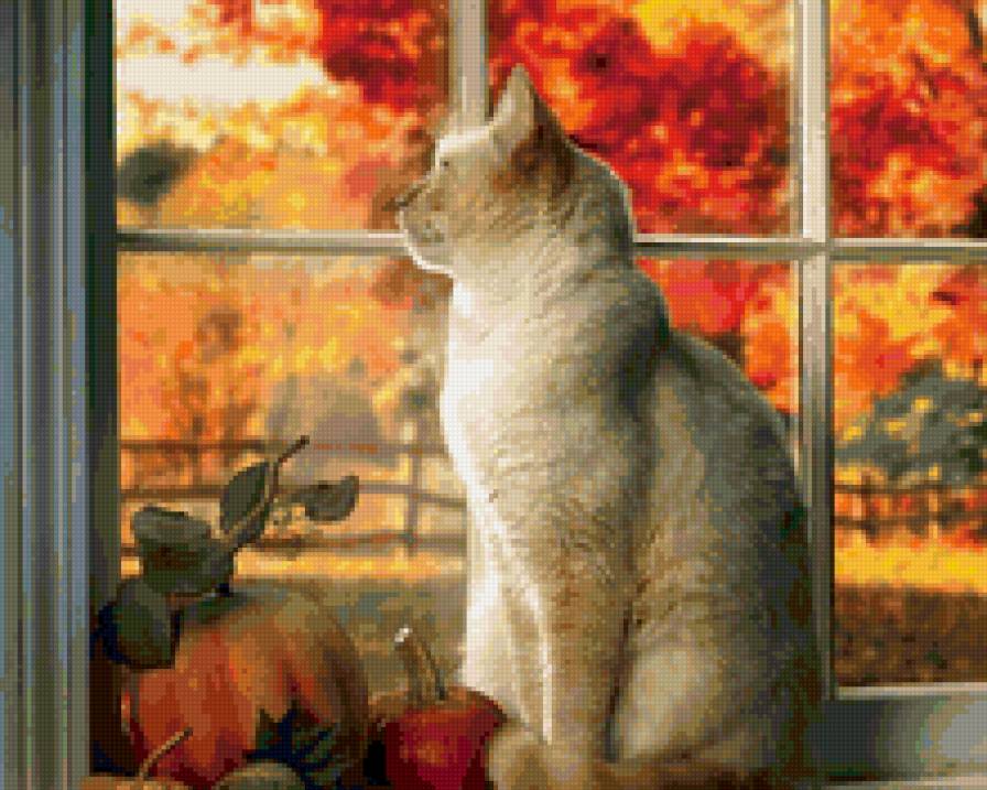 Осень за окном - кошка, животные, природа, окно, осень - предпросмотр