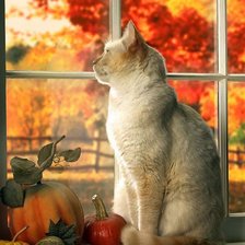 Схема вышивки «Осень за окном»