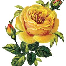 Схема вышивки «№87611»