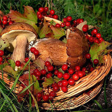 Схема вышивки «Дары осени»