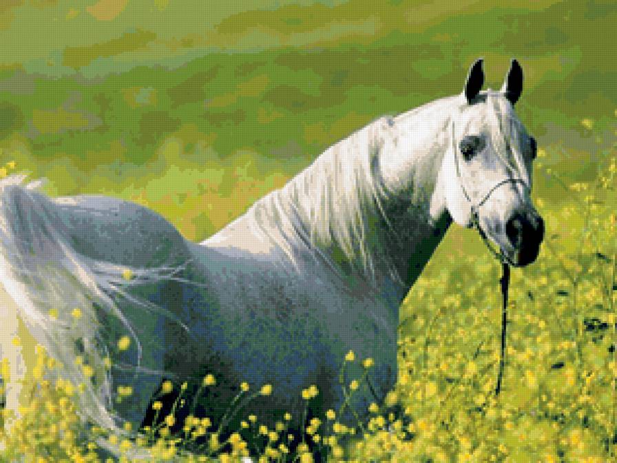 №87783 - предпросмотр