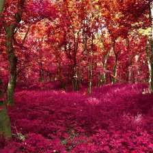 Схема вышивки «№87811»