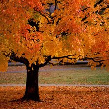 Схема вышивки «№87826»