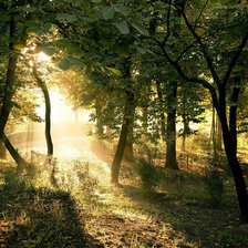 Схема вышивки «№87828»