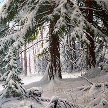 Схема вышивки «Снежное царство»