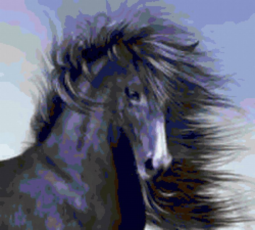 вороной - кони - предпросмотр