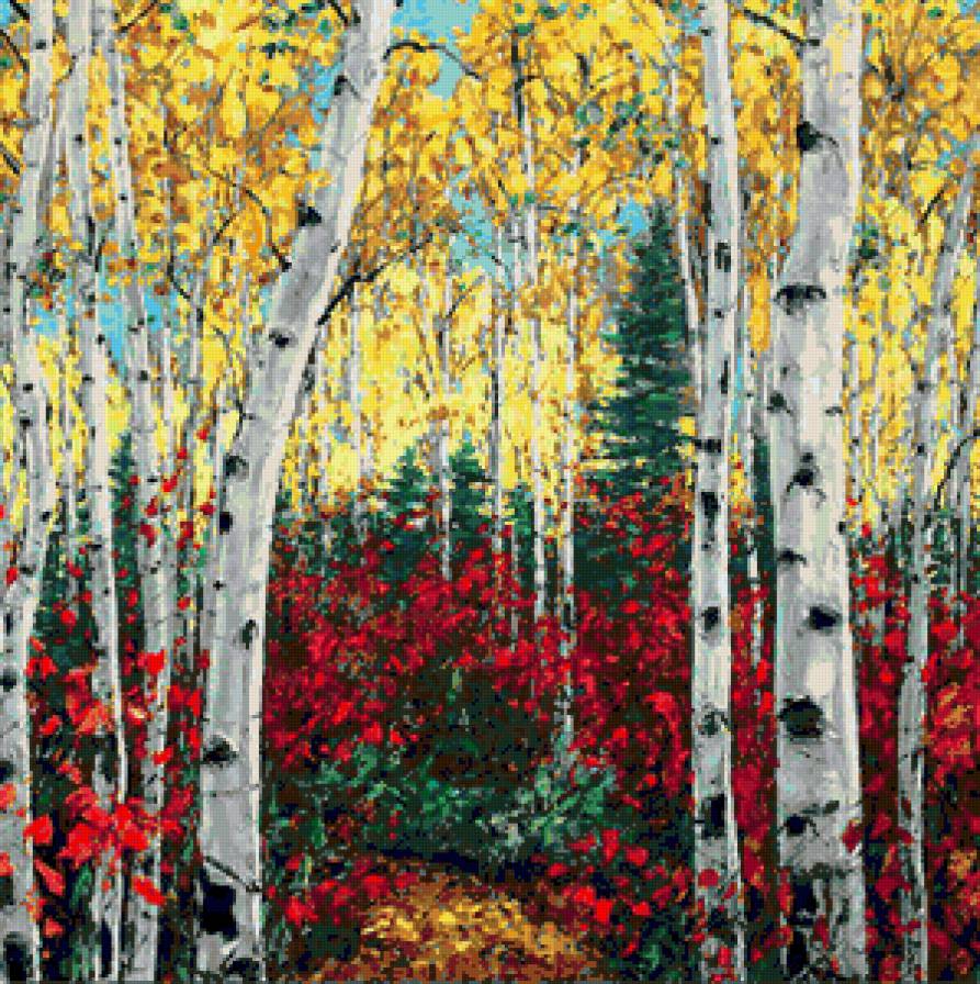 Осень в осиннике - пейзаж, листва, осины, осень, деревья, природа, лес - предпросмотр