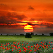 Схема вышивки «№87934»