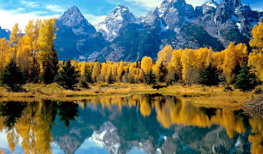 №87940 - оригинал