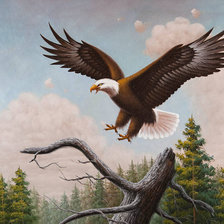 Схема вышивки «Орёл»