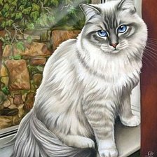 Схема вышивки «Кошечка»