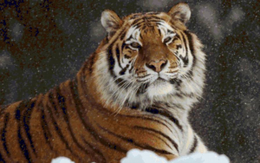 Тигр под снегопадом - тигр, зима, животные, снег - предпросмотр
