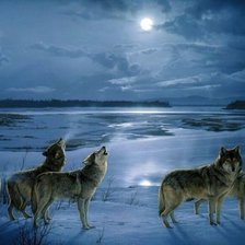 Схема вышивки «Волки»