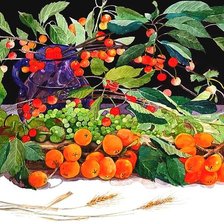 Схема вышивки «№88164»