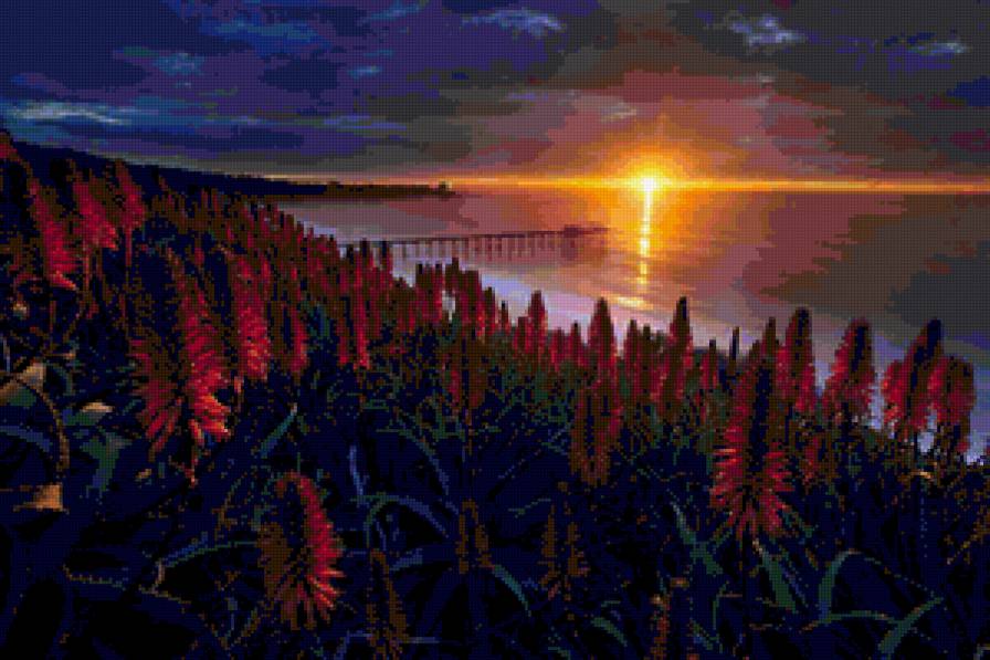 Полевые цветы - берег, природа, цветы, пейзаж, поле, закат, вечер, море - предпросмотр