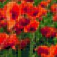 Предпросмотр схемы вышивки «Маки» (№88230)