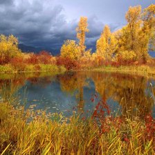 Схема вышивки «Осенний пейзаж»