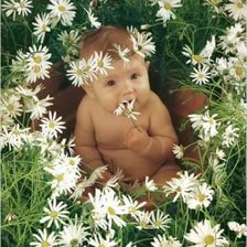 Схема вышивки «Карапуз в ромашках»