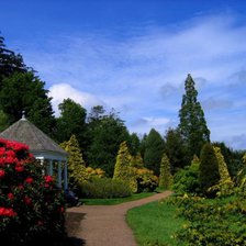 Схема вышивки «Английский сад»