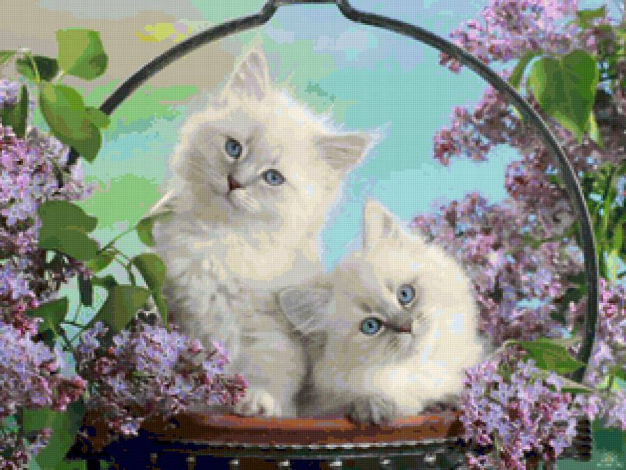 Котятки в корзине - животные, сирень, корзинка, котята - предпросмотр
