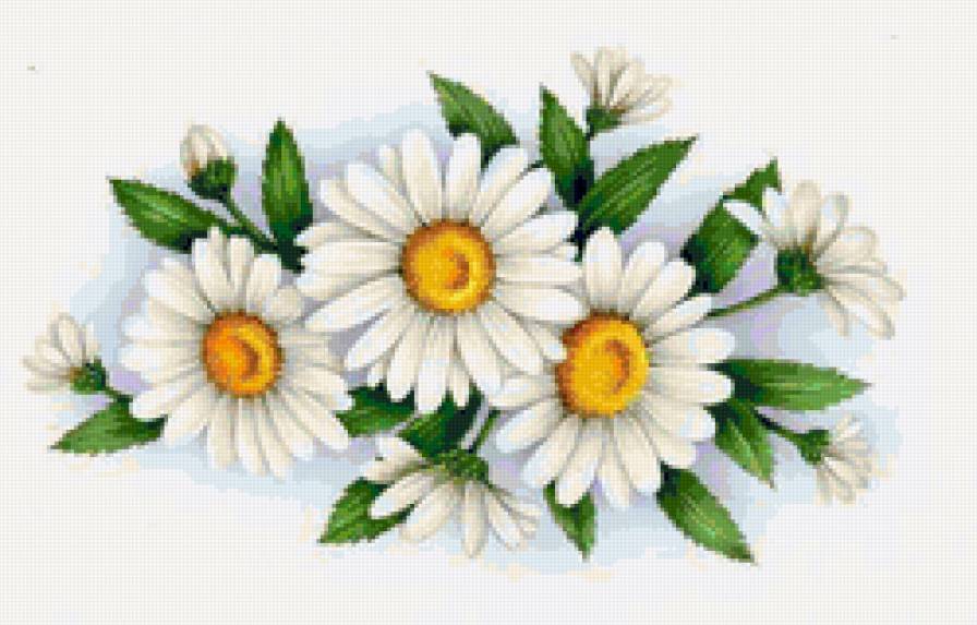 Ромашки - цветы, салфетка, ромашки - предпросмотр