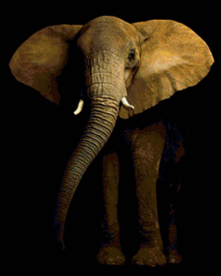 слон - животные - предпросмотр