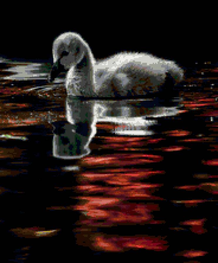 Малыш - птицы, лебеди - предпросмотр