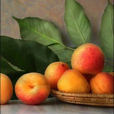 Абрикосы