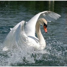 Схема вышивки «Танец любви»
