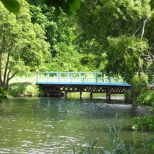 Тростянецкий дендропарк