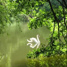 Схема вышивки «Тростянецкий дендропарк»