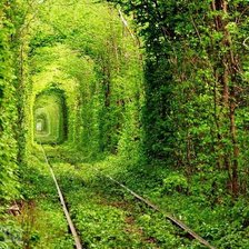 Схема вышивки «Туннель любви.»