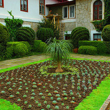 Схема вышивки «Никитский ботанический сад»