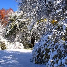 Схема вышивки «Зимний наряд»