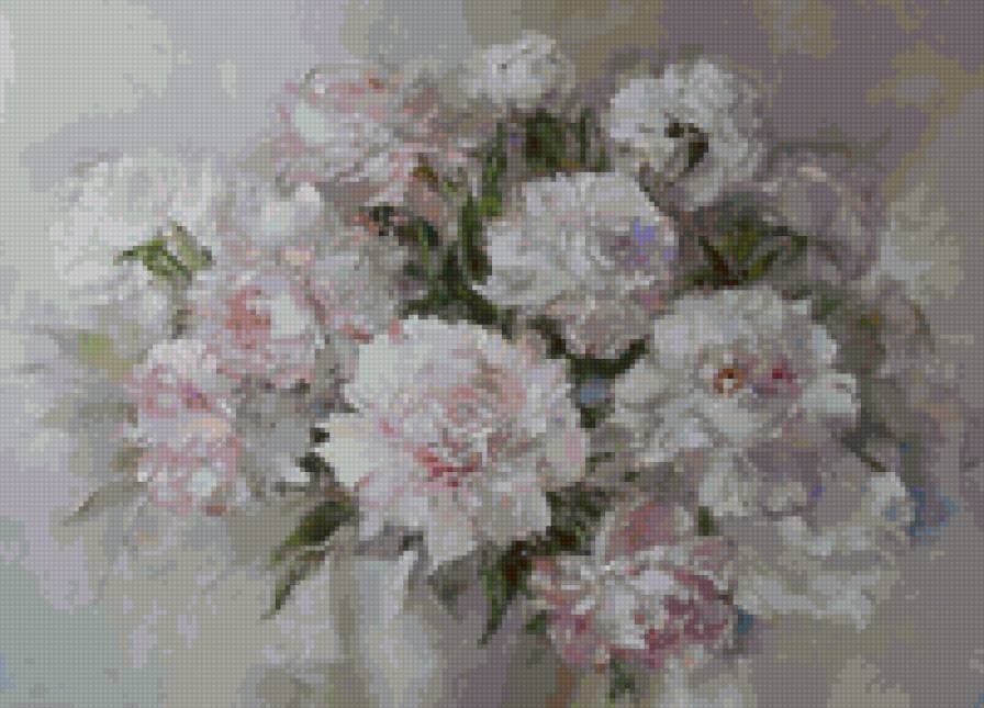 Пионы - цветы - предпросмотр