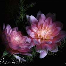 Схема вышивки «цветы»