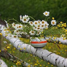 Схема вышивки «Букет ромашек»