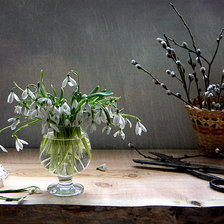 Схема вышивки «Натюрморт с подснежниками»