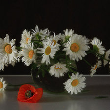 Схема вышивки «Ромашки»