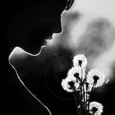 Схема вышивки «Одуванчики»