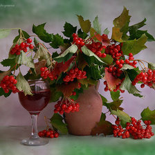 Схема вышивки «калина красная»