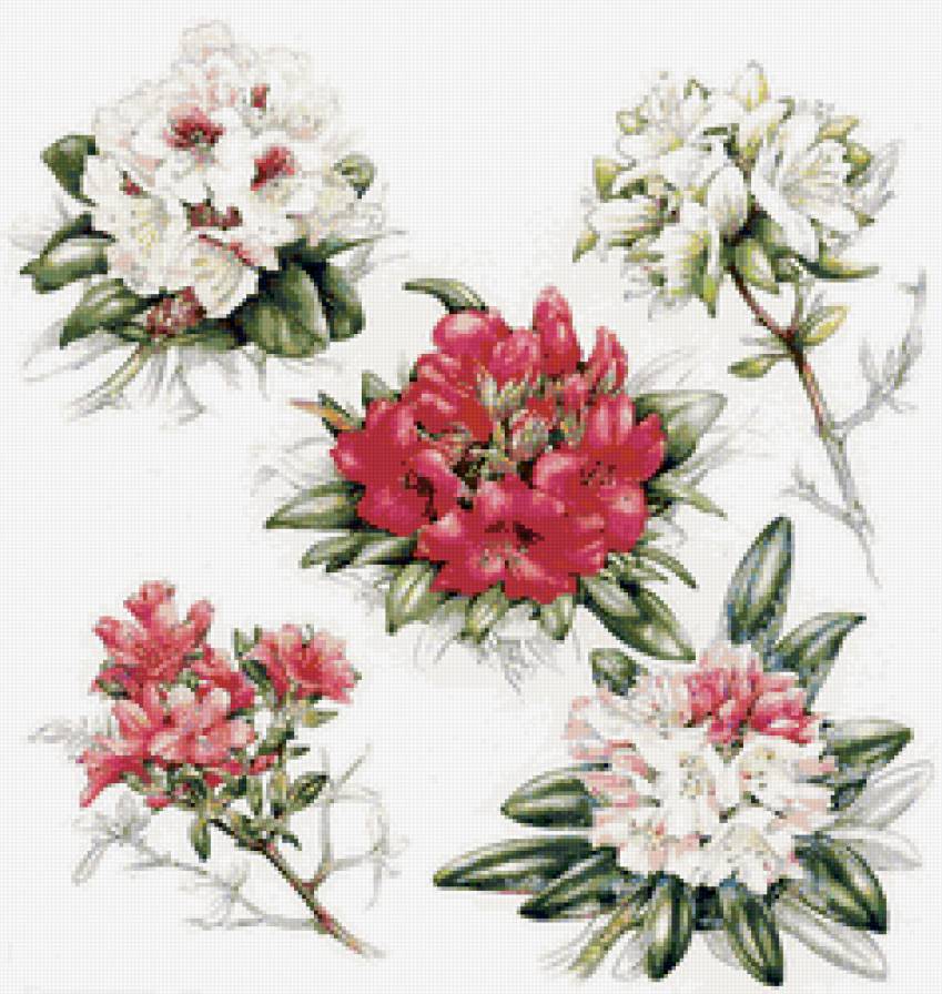 Подушка"Цветы" - живопись, подушка, цветы - предпросмотр