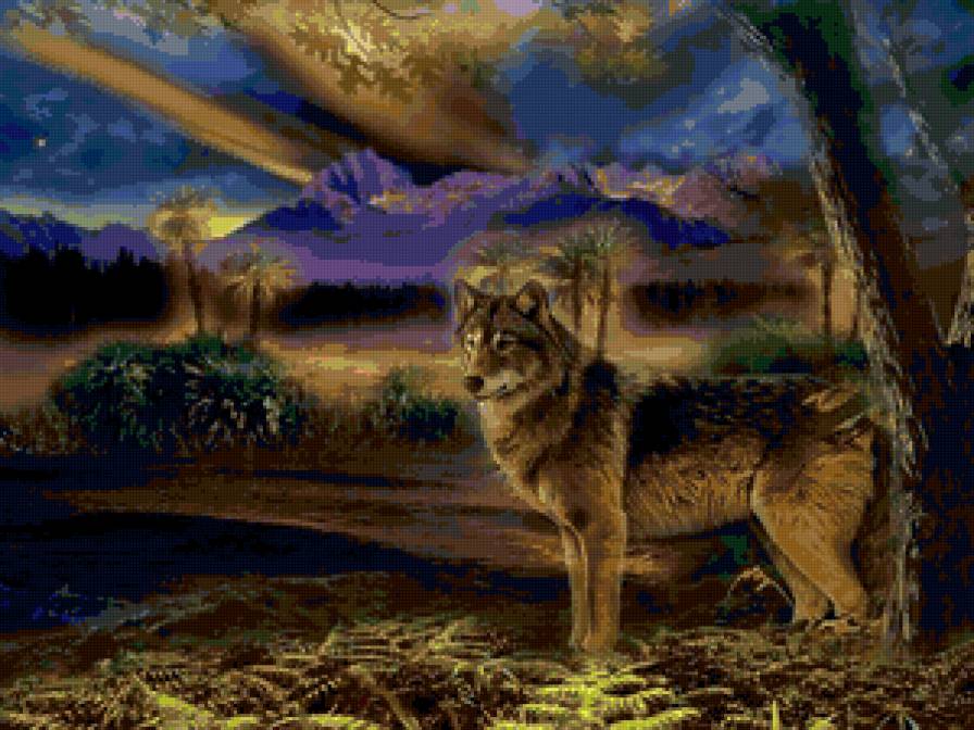 волк - животные, волки, хищники, природа - предпросмотр