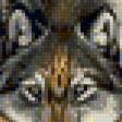 Предпросмотр схемы вышивки «волки» (№89256)