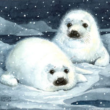 Схема вышивки «Тюлени»