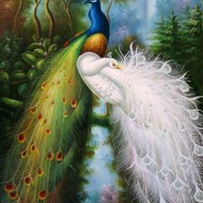 Схема вышивки «Пара павлинов»