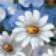 Предпросмотр схемы вышивки «Ромашки и незабудки» (№89301)