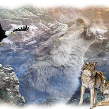 Схема вышивки «Волки»